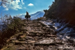 Camino de La Quiana a Montes