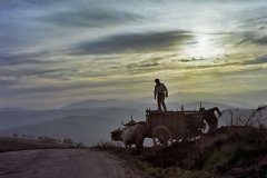 Paisaje-pag-11-Nº-62