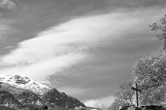 BIER2737-copia---web