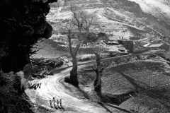 La Curva II